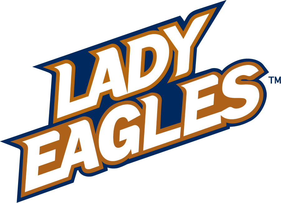 North Texas Mean Green 1995-2005 Wordmark Logo v2 DIY iron on transfer (heat transfer)